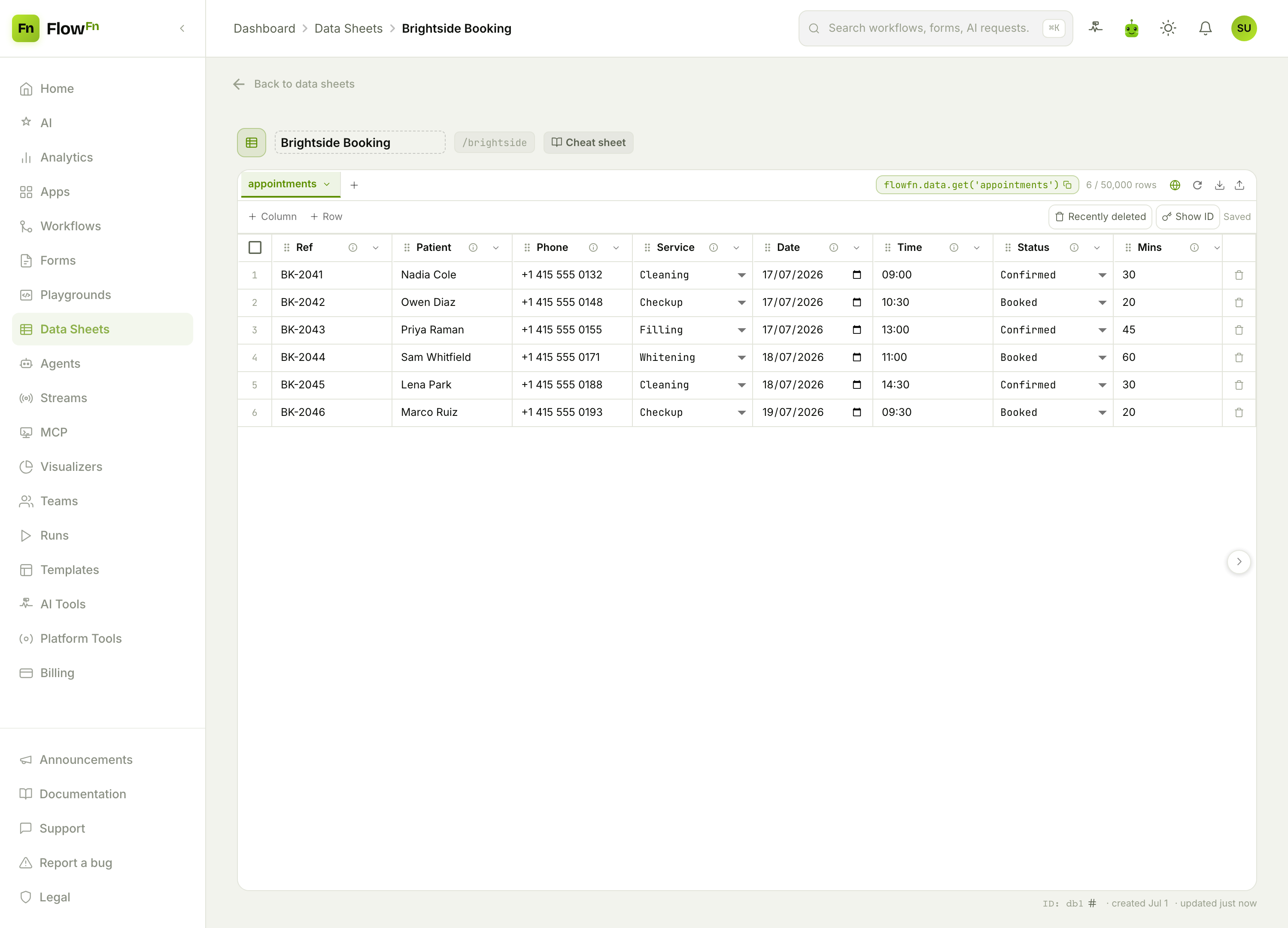 The appointments Data Sheet with ref, patient, service, date, time, status, and reminder columns