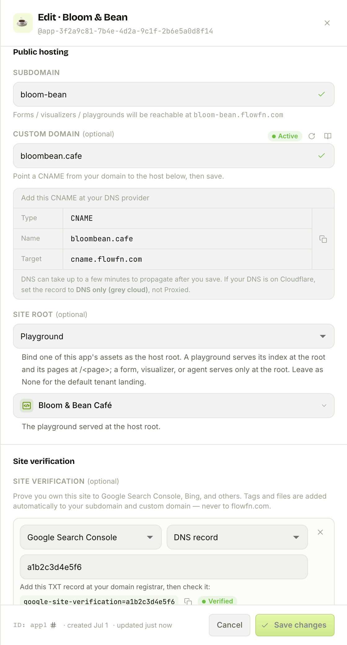 The Public hosting section: subdomain, custom domain (Active), the CNAME, and the site root