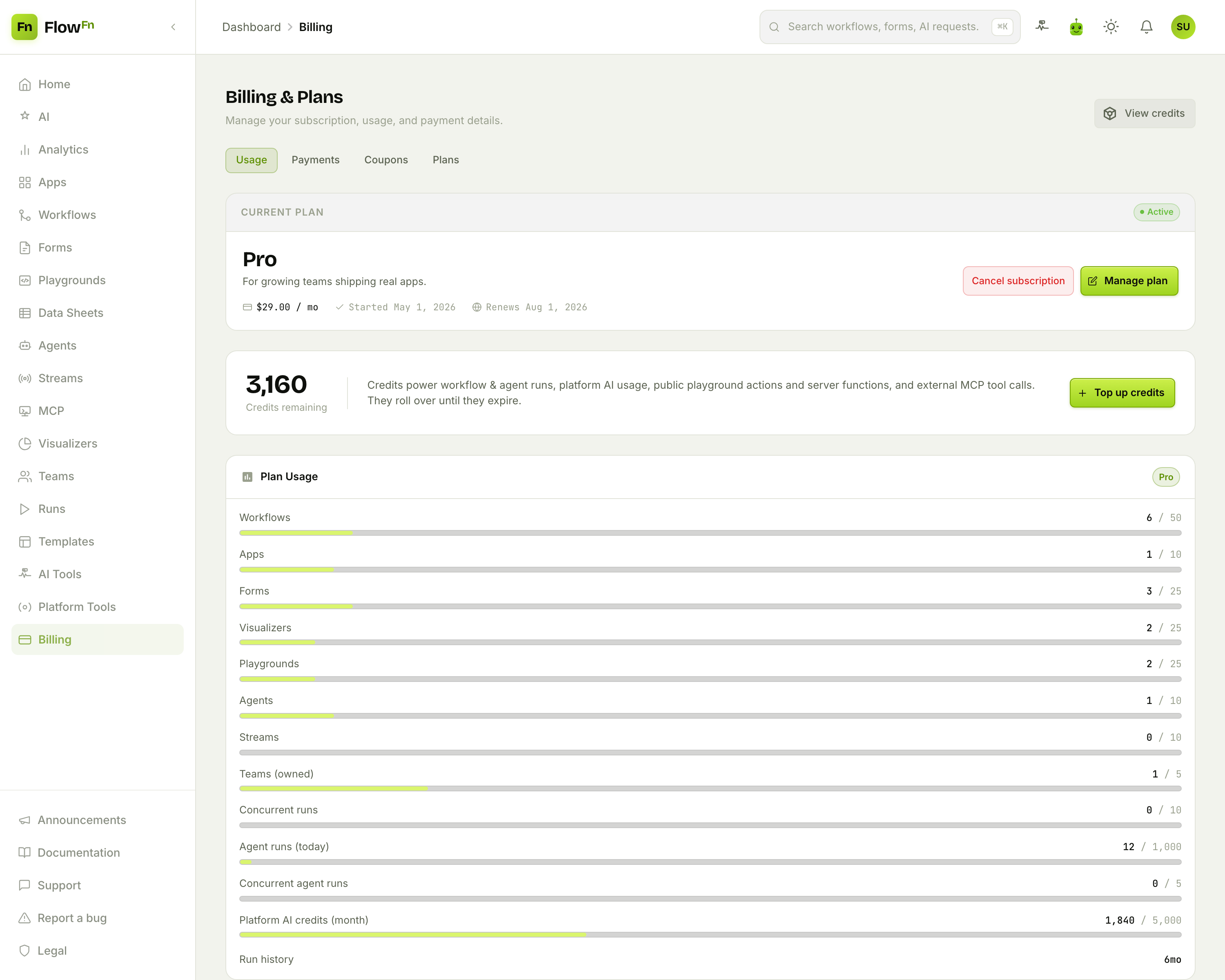 The Billing Usage tab: current plan, credits, and plan-usage bars