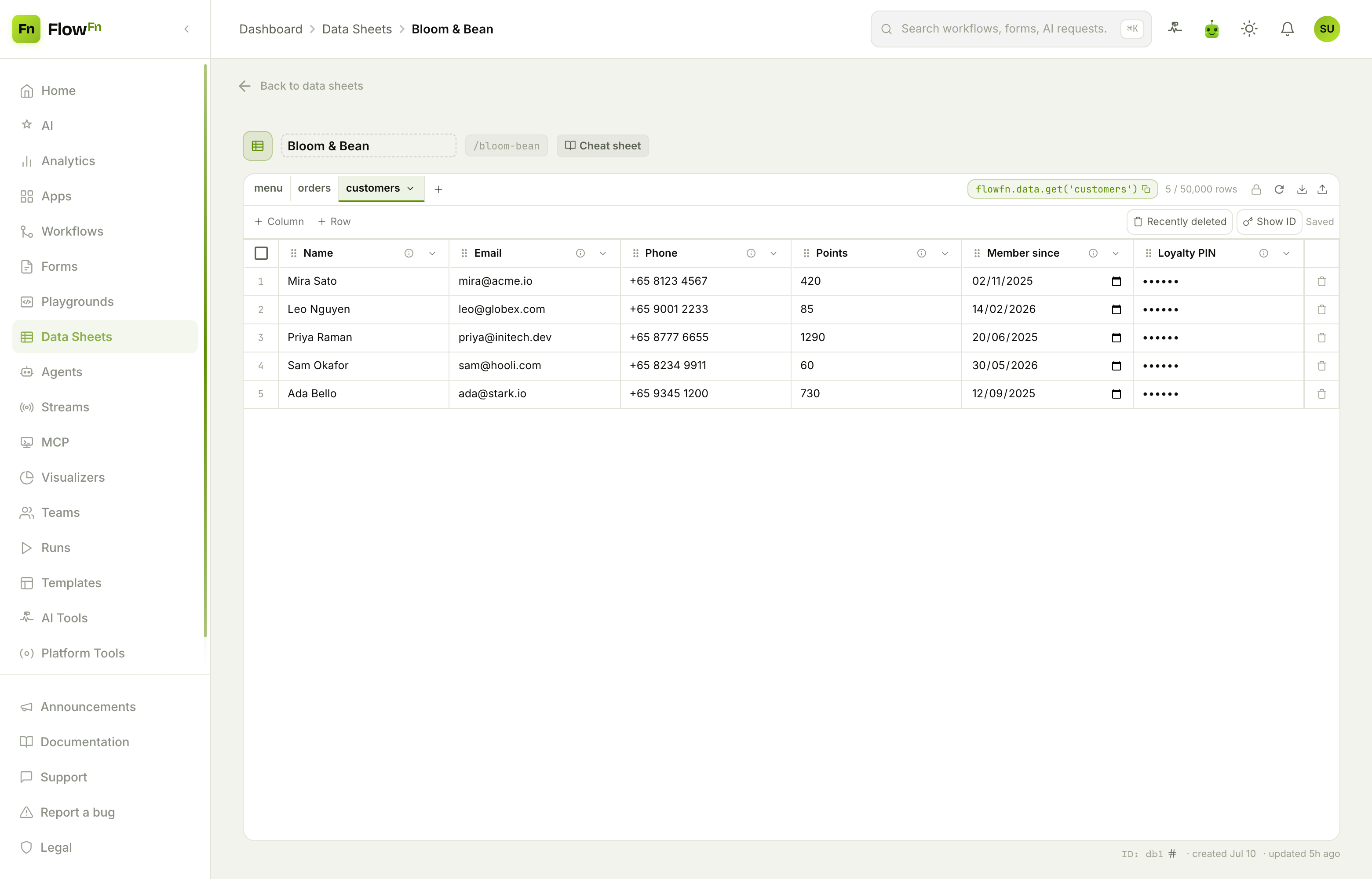 The customers sheet with a masked, secured Loyalty PIN column