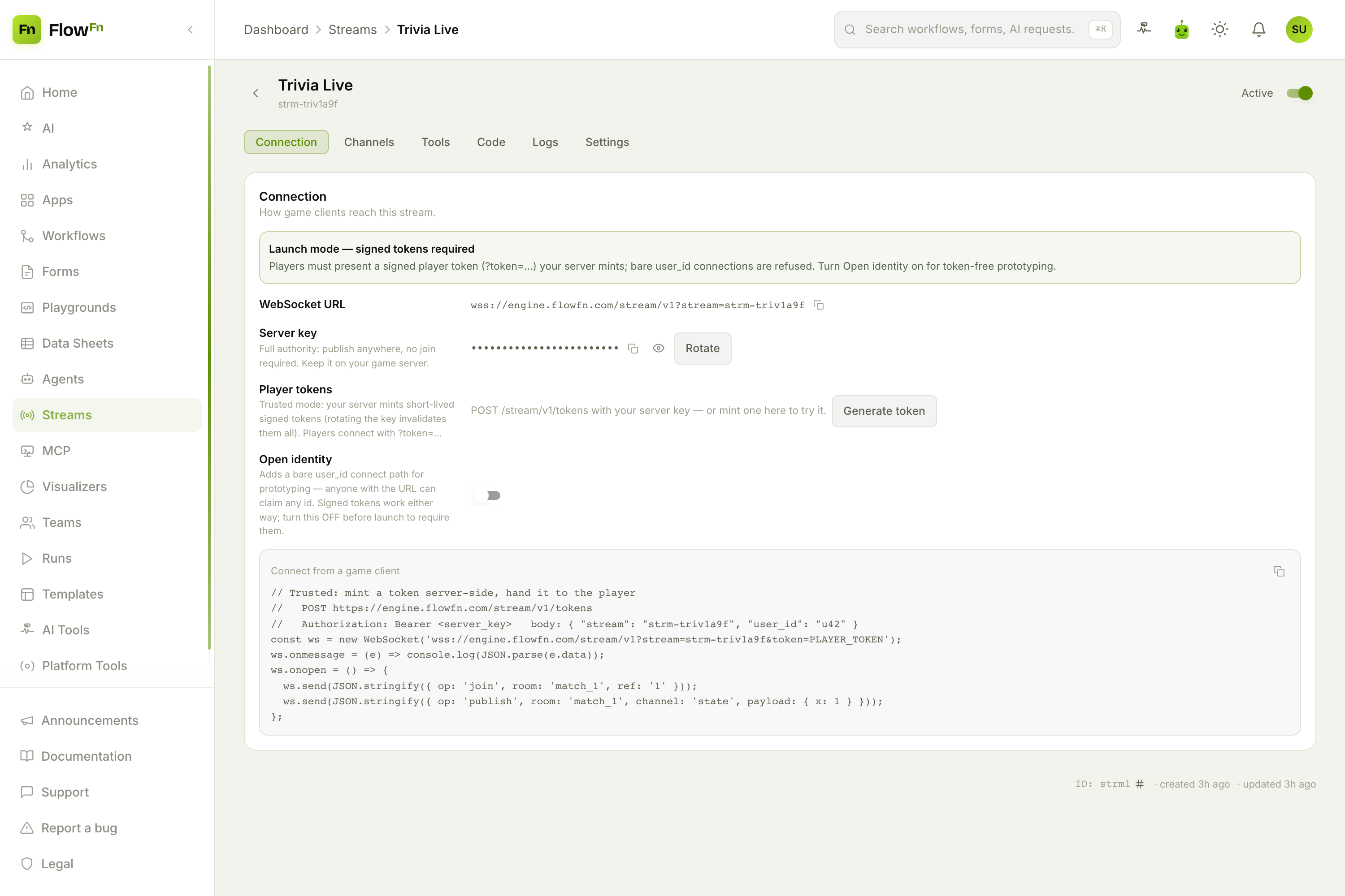 The Connection tab: WebSocket URL, server key, tokens, and a client snippet